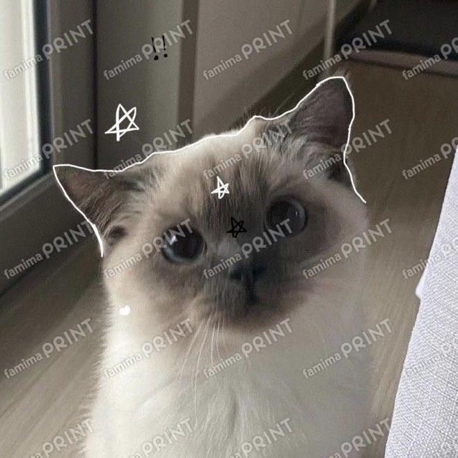 \ # ? % * : < >12345
