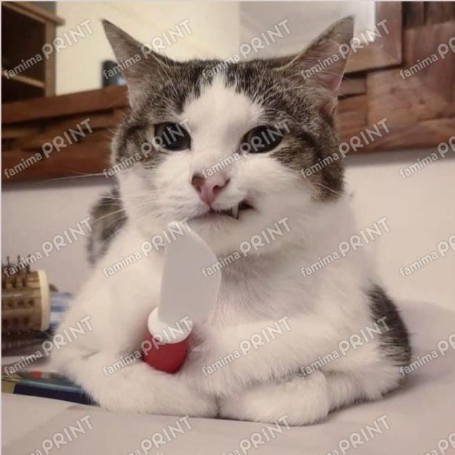 猫怖い過ぎる大きな猫