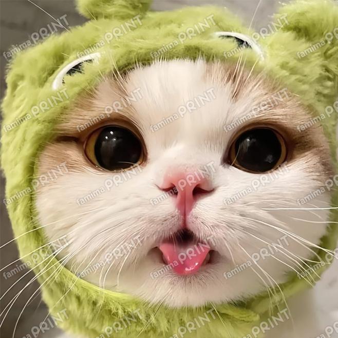 iiiiiiiiiiiiii